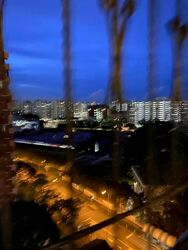 Blk 781 Pasir Ris Street 71 (Pasir Ris), HDB Executive #563536191